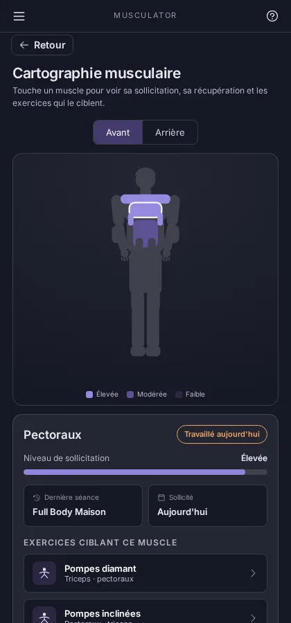 Cartographie musculaire, vue de face, avec les pectoraux sélectionnés et leur niveau de sollicitation.